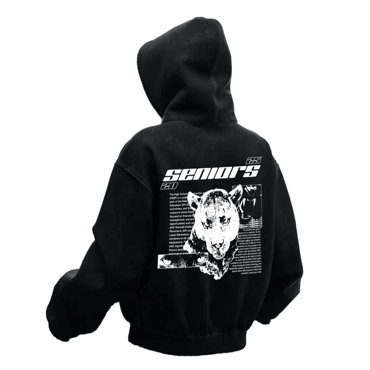 Seniors Hoodie / Back 3D