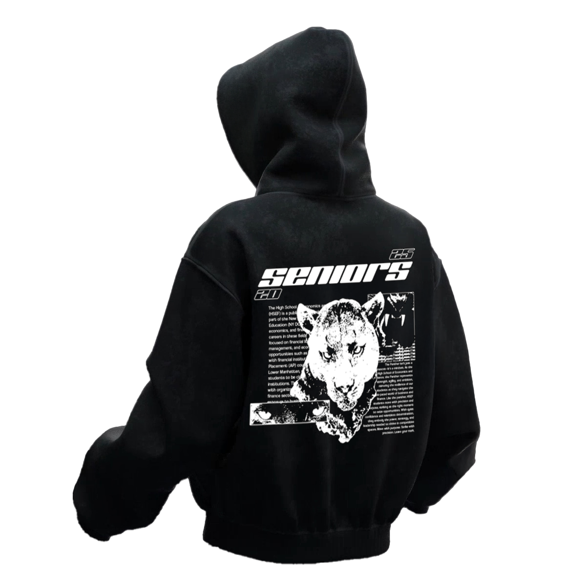 Seniors Hoodie / Back 3D